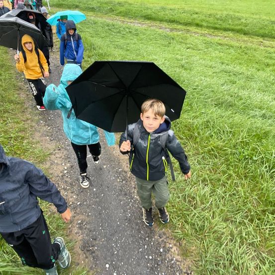 Eine Gruppe von Kindern, die bei Regen gehen, einige mit Rucksäcken und mit Regenschirmen. Sie sind auf einem Kiesweg, umgeben von hohem Gras.