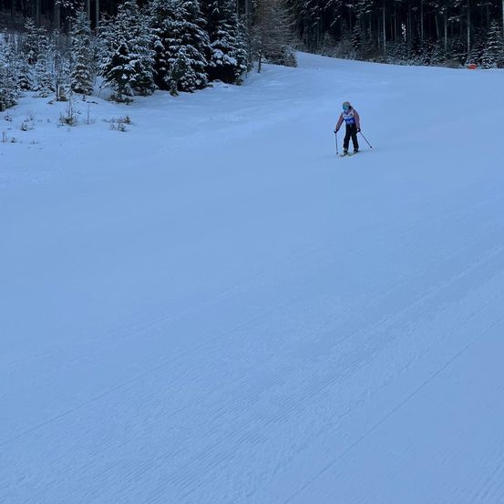Ein Skifahrer fährt einen schneebedeckten Hang hinunter, trägt einen Helm und eine Schutzbrille. Der Schnee ist dick, und das Gebiet ist von Kiefern umgeben.