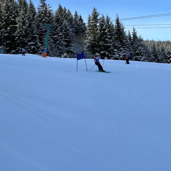 Ein Skifahrer fährt auf einer verschneiten Piste mit Kiefern im Hintergrund, eine blaue Flagge markiert den Weg.