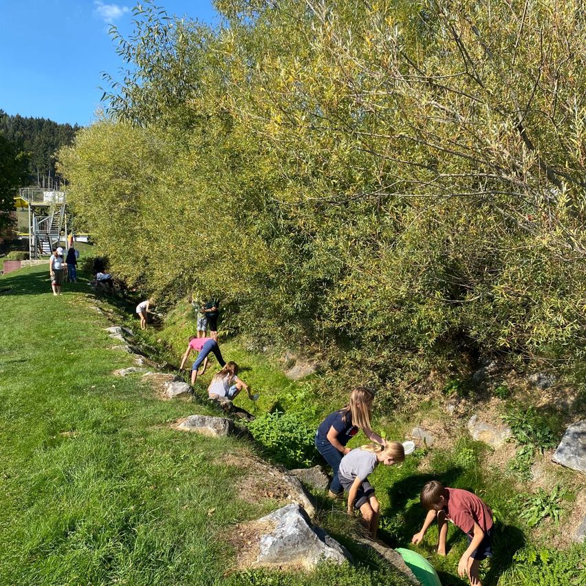 Eine Gruppe von Kindern spielt in einem Bach in einem Park.