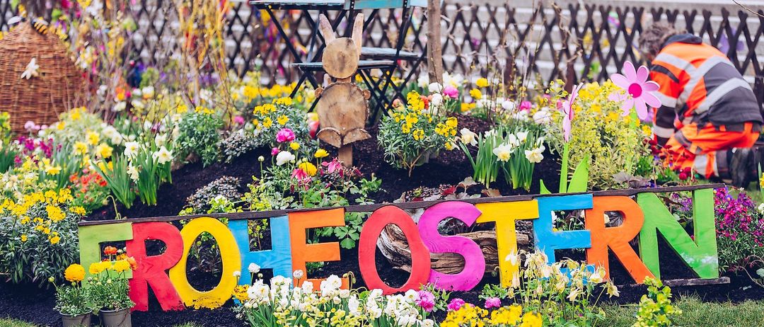 Bild enthält, Grass, Nature, Outdoors, Park, Potted Plant, Garden, Planter, Yard, Flower, Flower Bouquet