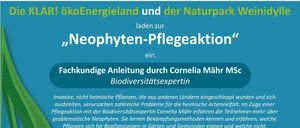 Bild enthält, Advertisement, Poster