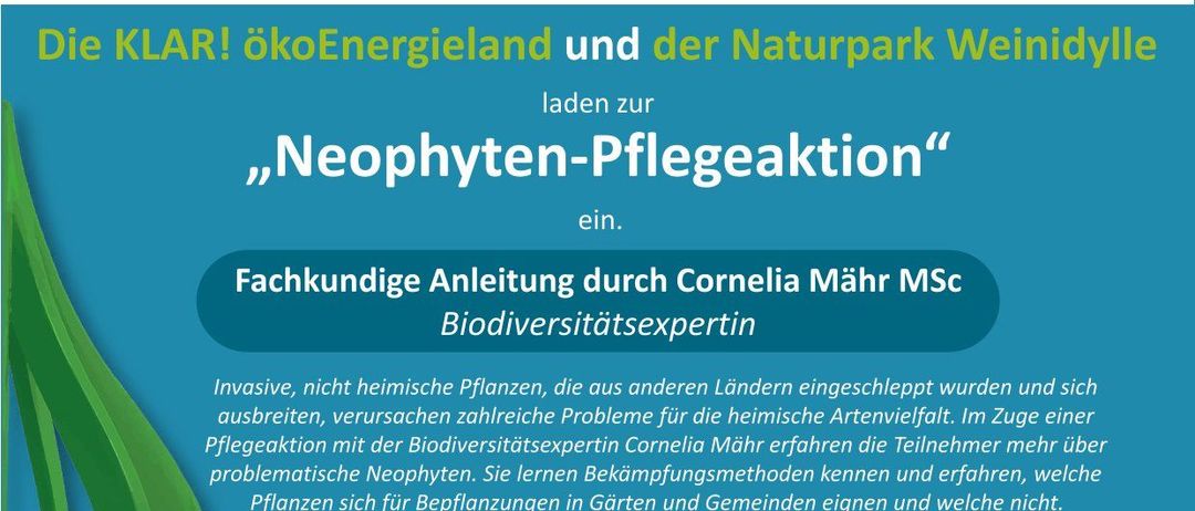 Bild enthält, Advertisement, Poster