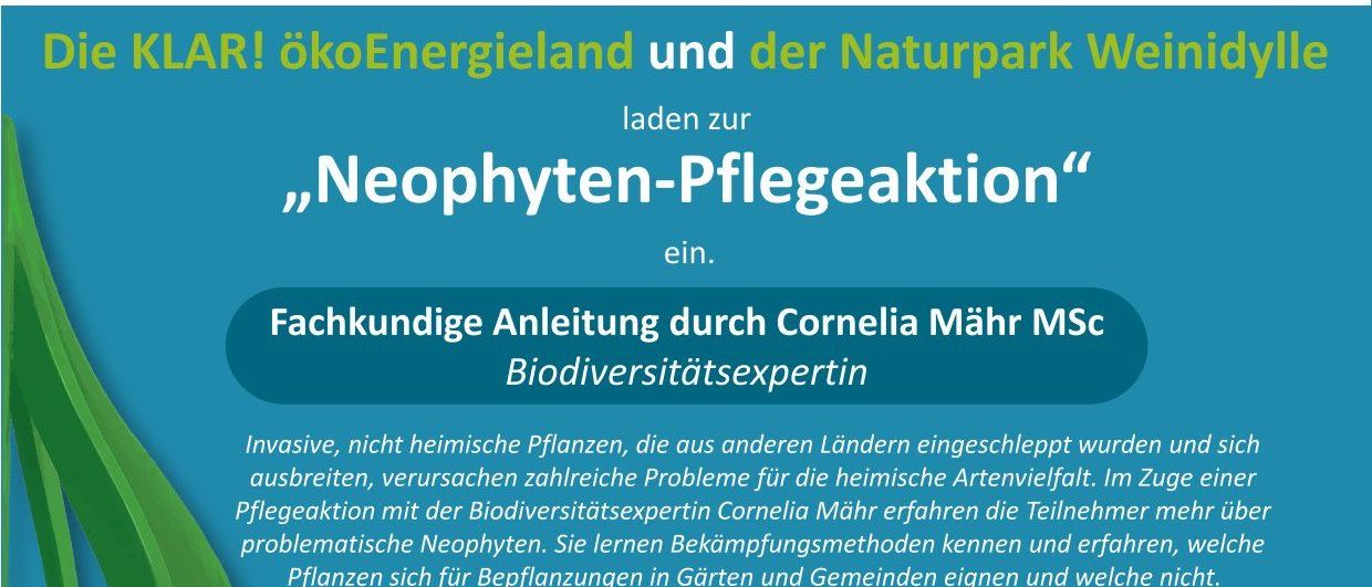 Bild enthält, Advertisement, Poster