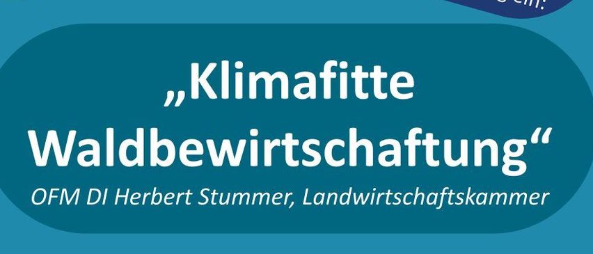 Ein Plakat für eine Konferenz über klimafreundliche Waldwirtschaft am 27. November 2025 um 18.00 Uhr im Gasthof Waits-Guttmann in Deutsch Tschantschendorf, Tobaj. Veranstaltet von OFM DI Herbert Stummer.