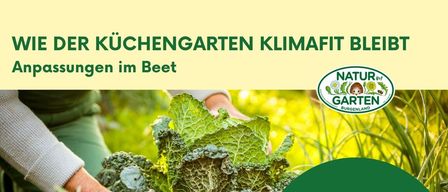 Ein Plakat für eine Gartenveranstaltung mit einer Person, die einen Kohl pflanzt. Es zeigt Datum, Uhrzeit und Ort. Die Expertin Tanja Westfall-Greiter wird Strategien für nachhaltiges Gärtnern besprechen. Anmeldeinformationen sind angegeben. Fotos werden für soziale Medien gemacht.