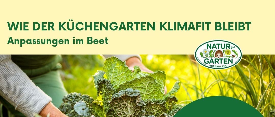 Ein Plakat für eine Gartenveranstaltung mit einer Person, die einen Kohl pflanzt. Es zeigt Datum, Uhrzeit und Ort. Die Expertin Tanja Westfall-Greiter wird Strategien für nachhaltiges Gärtnern besprechen. Anmeldeinformationen sind angegeben. Fotos werden für soziale Medien gemacht.