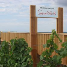 Bild enthält, Nature, Outdoors, Countryside, Vine, Interior Design, Rural, Farm, Vineyard, Wood, Yard