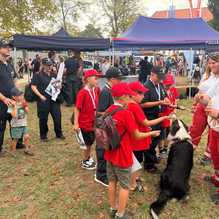 Eine Gruppe von Kindern in roten T-Shirts interagiert mit einem Polizeihund bei einer Veranstaltung im Freien.