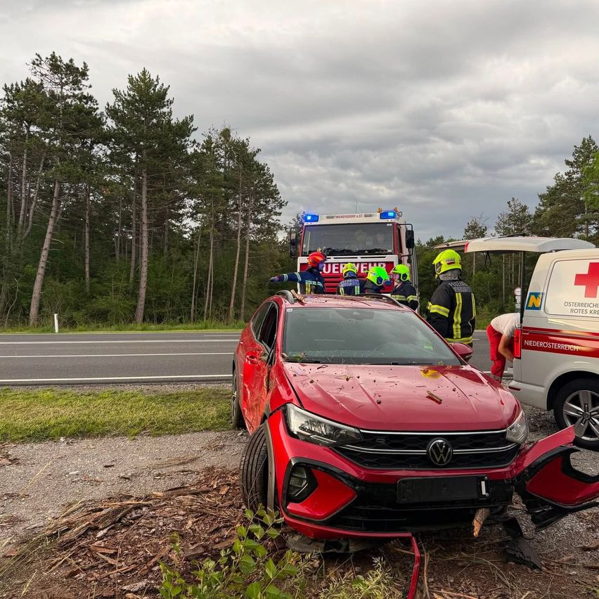 Rettungskräfte umgeben einen roten Volkswagen SUV, der an der Straßenseite mit einem Baum kollidiert ist.