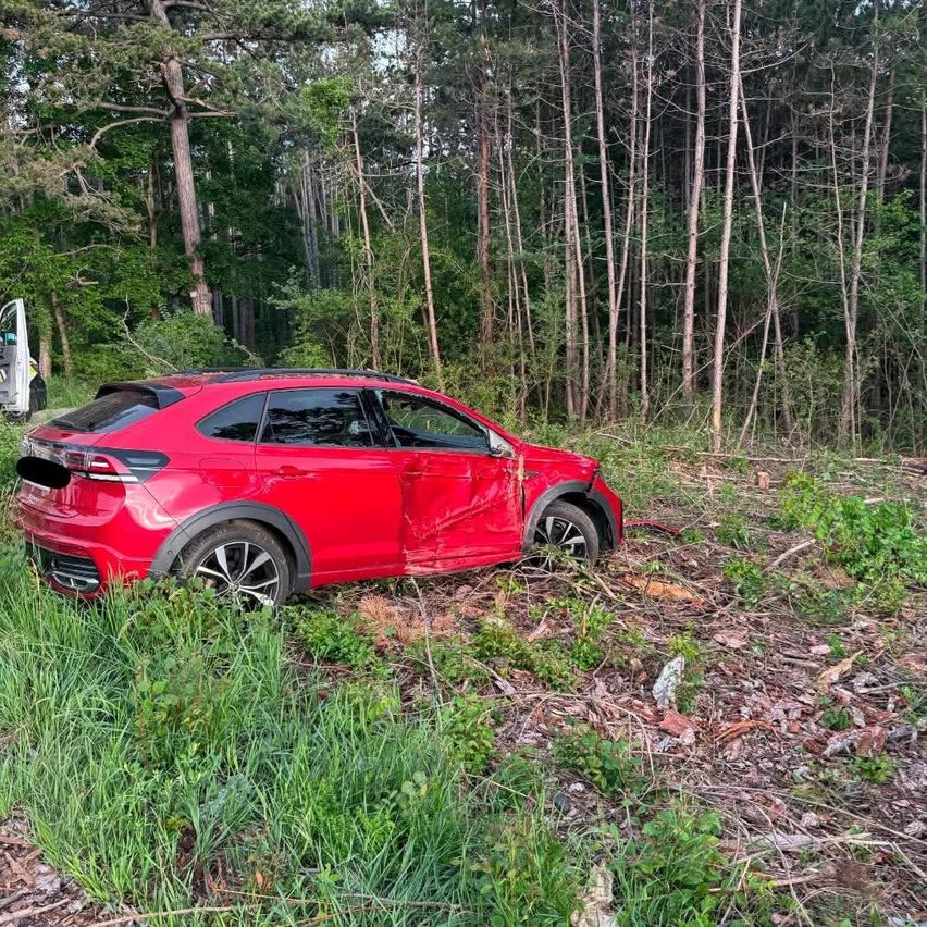 Ein roter SUV ist in einem Grasbereich geparkt, möglicherweise nach einem Unfall. Das Auto hat sichtbare Schäden an der Seite. Bäume und Pflanzen umgeben den Bereich.