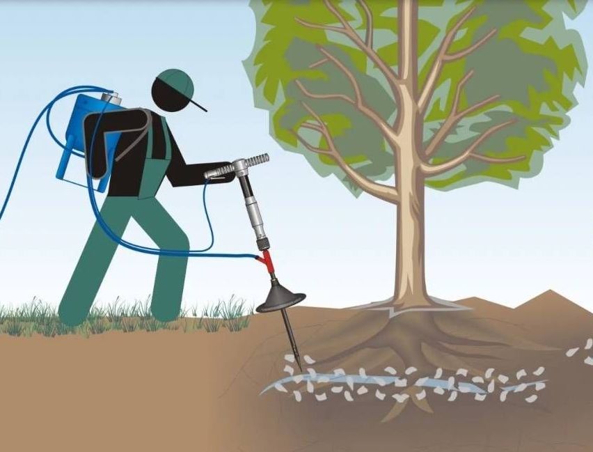 v1_migrated_image_6010184