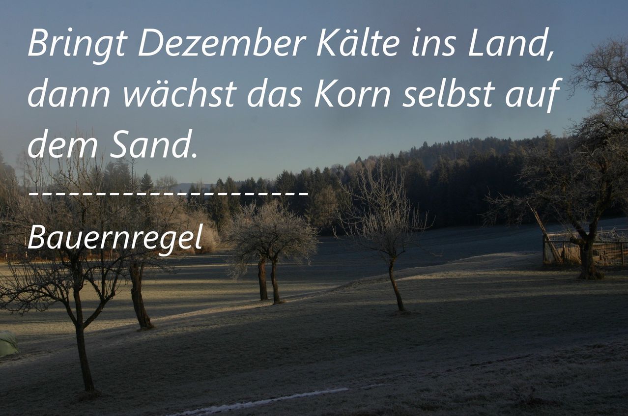 Eine karge Landschaft mit mehreren laublosen Bäumen, einem schneebedeckten Feld und einem Bergrücken im Hintergrund. Der Text lautet 'Im Dezember wächst das Korn selbst an Sand.'