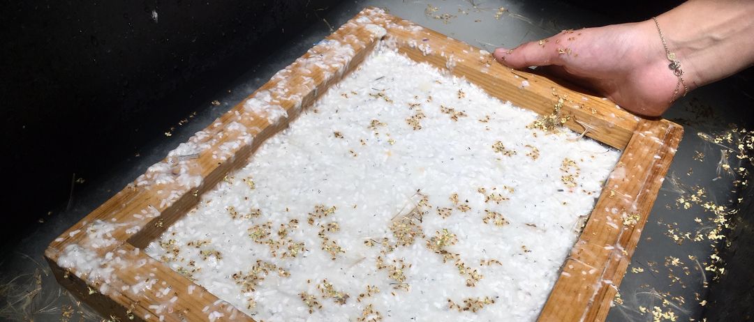 Eine Person hält einen hölzernen Rahmen, gefüllt mit einer Mischung aus weißem Pulver und Goldblättchen, untergetaucht in Wasser. Die Hand und der Arm der Person sind teilweise sichtbar und zeigen Schmutz und goldene Partikel.