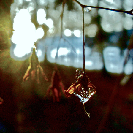 Bild enthält, Accessories, Diamond, Flare, Light, Lighting, Sunlight, Outdoors, Ice, Crystal, Nature