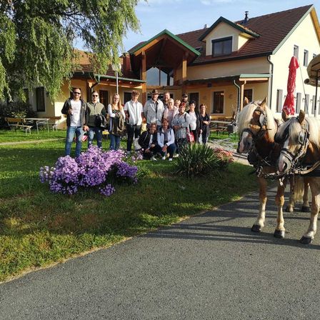 Bild enthält, Outdoors, Shelter, Neighborhood, Person, People, Jeans, Horse, Vehicle, Wagon, Horse Cart