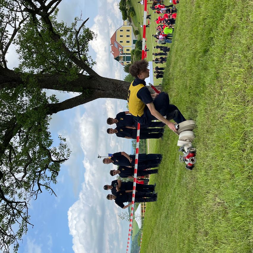 Bild enthält, Grass, People, Person, Park, Lawn, Tree, Boy, Child, Male, Man