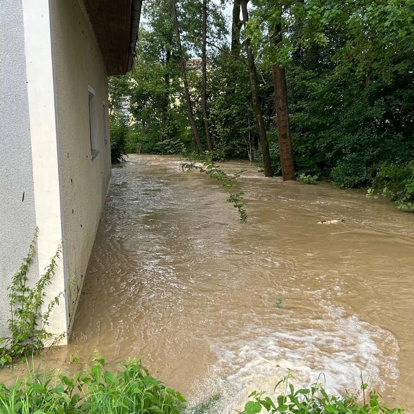 Ein überschwemmtes Gebiet vor einem Haus mit einem Fenster und Bäumen im Hintergrund.