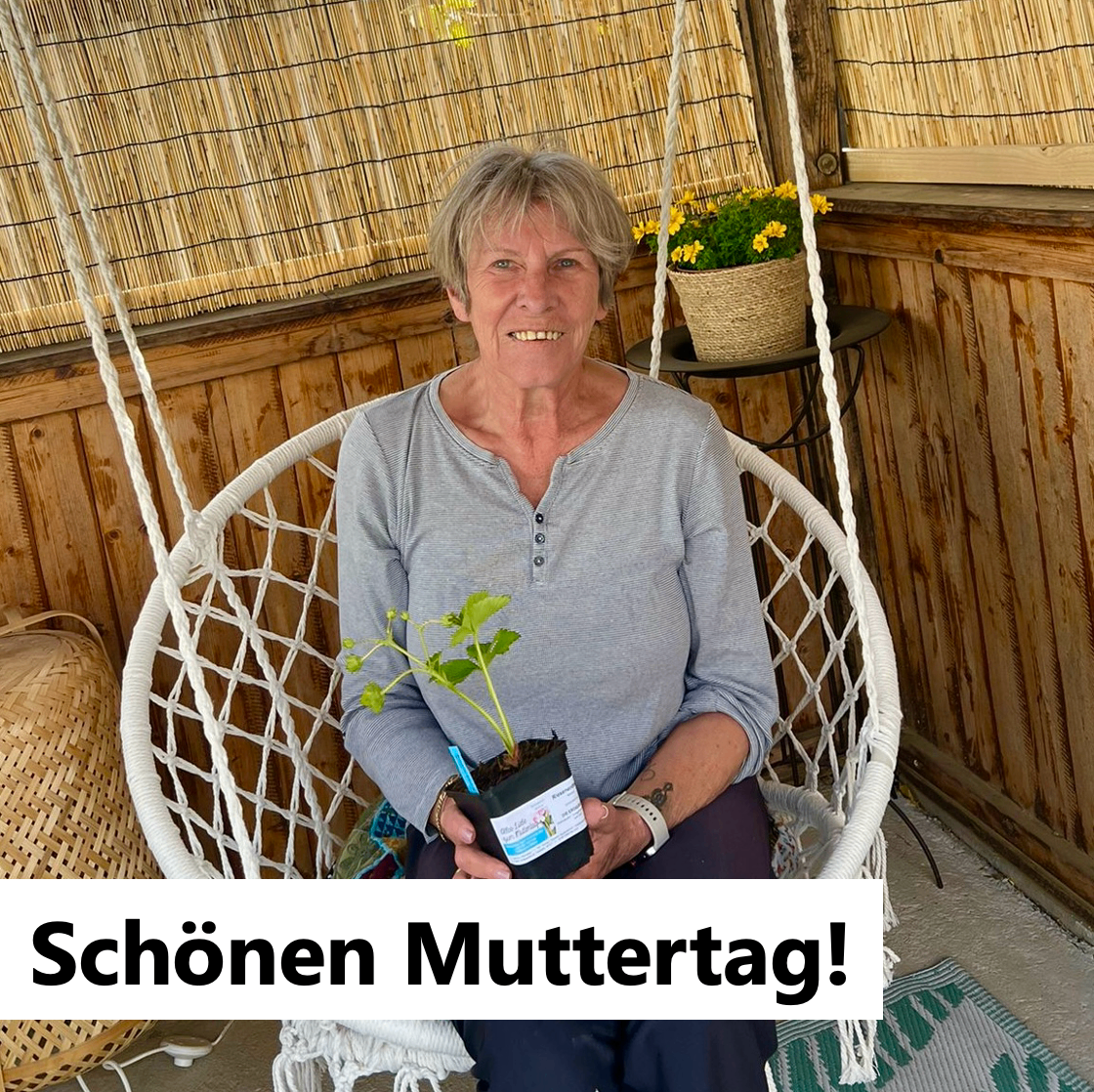 A woman sits on a white chair, smiling and holding a potted plant. She wears a gray long-sleeved shirt. Behind her, there is a wooden wall with a hanging plant and a basket on a table. The image has a white border.