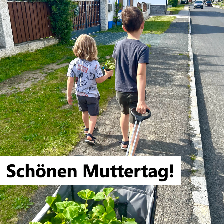 Two children walk on a sidewalk, one holding a potted plant. They wear casual clothes and sandals. In the background, there is a grassy area with a house. The road has cars passing by.