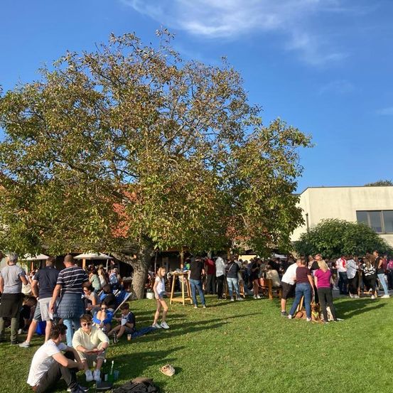 Bild enthält, People, Person, College, Grass, Concert, Adult, Male, Man, Shorts, Jeans