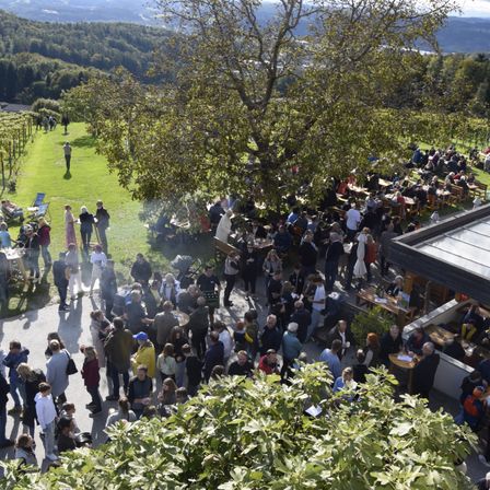 Bild enthält, Nature, Outdoors, Countryside, Person, Walking, Rural, Garden, Farm, Vineyard