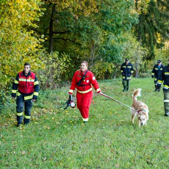 Bild enthält, Person, Grass, Dog, Boy, Child, Male, Adult, Female, Woman, Vegetation