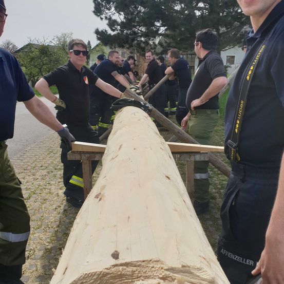 Bild enthält, Wood, Glove, Glasses, Adult, Male, Man, Person, Hat, Tree, Belt