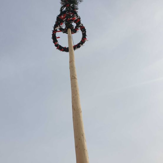 Bild enthält, Plant, Tree, Christmas, Christmas Decorations, Festival, Utility Pole