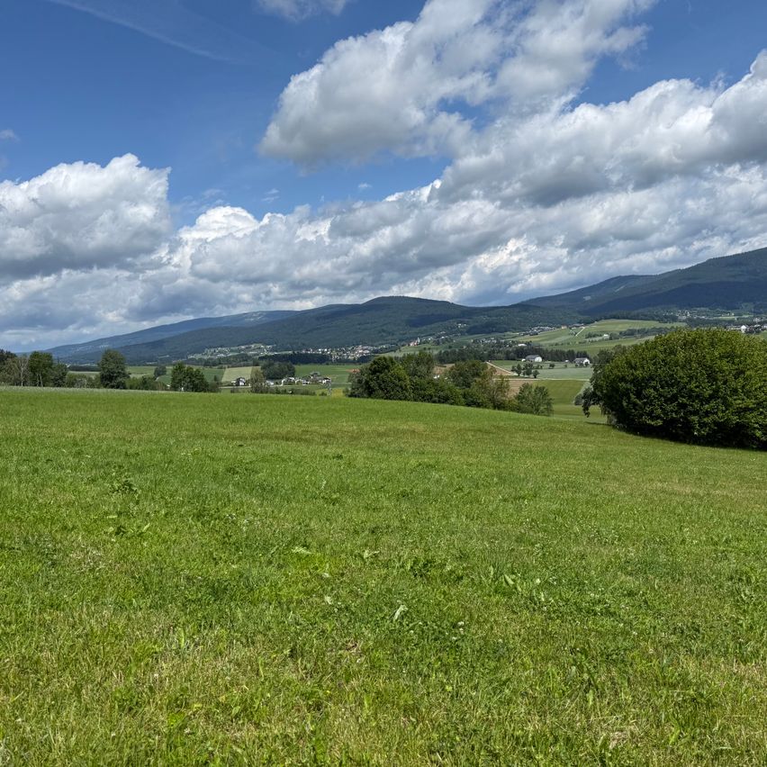 A vast green field with lush grass under a partly cloudy sky. In the distance, mountains and houses are visible.
