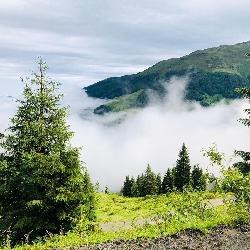 Bild enthält, Tree, Vegetation, Nature, Outdoors, Scenery, Wilderness, Fir, Woodland, Weather, Conifer