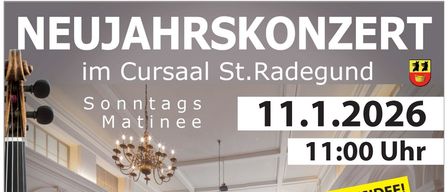 Plakat für eine Sonntagsmatinee mit klassischer Musik von Komponisten wie Johann Strauss Vater und Sohn, Josef Strauss und anderen. Es zeigt eine Geige, einen großen Saal und erwähnt die Verfügbarkeit von Eintrittskarten. Das Datum ist der 11. Januar 2026.