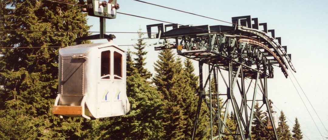 Eine Luftseilbahn mit einem grünen Turm schwebt in der Luft. Sie hat Glasfenster und einen Holzboden. Sie ist von hohen Bäumen umgeben.