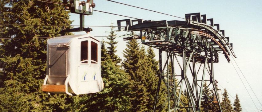 Eine Luftseilbahn mit einem grünen Turm schwebt in der Luft. Sie hat Glasfenster und einen Holzboden. Sie ist von hohen Bäumen umgeben.