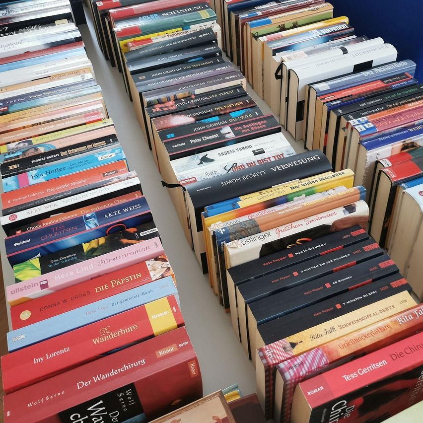 Ein Tisch beherbergt einen ordentlichen Stapel Bücher, darunter Titel wie 'Der Wanderer', 'Die Papsin' und 'Die Christin'. Jeder Buchdeckel ist einzigartig und zeigt verschiedene Farben und Bilder. Die Bücher scheinen Teil einer Sammlung oder eines Inventars zu sein.