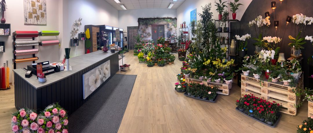 Ein Blumenladen mit verschiedenen Topfblumen und Pflanzen zur Schau gestellt. Der Laden hat Holzböden und eine Holztheke mit einem Blumenbild. Es gibt auch mehrere Holzschränke und Regale mit Topfpflanzen.