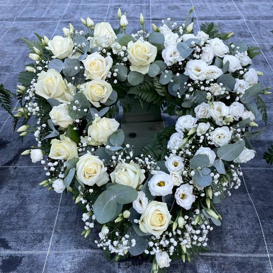 Bild enthält, Flower, Plant, Rose