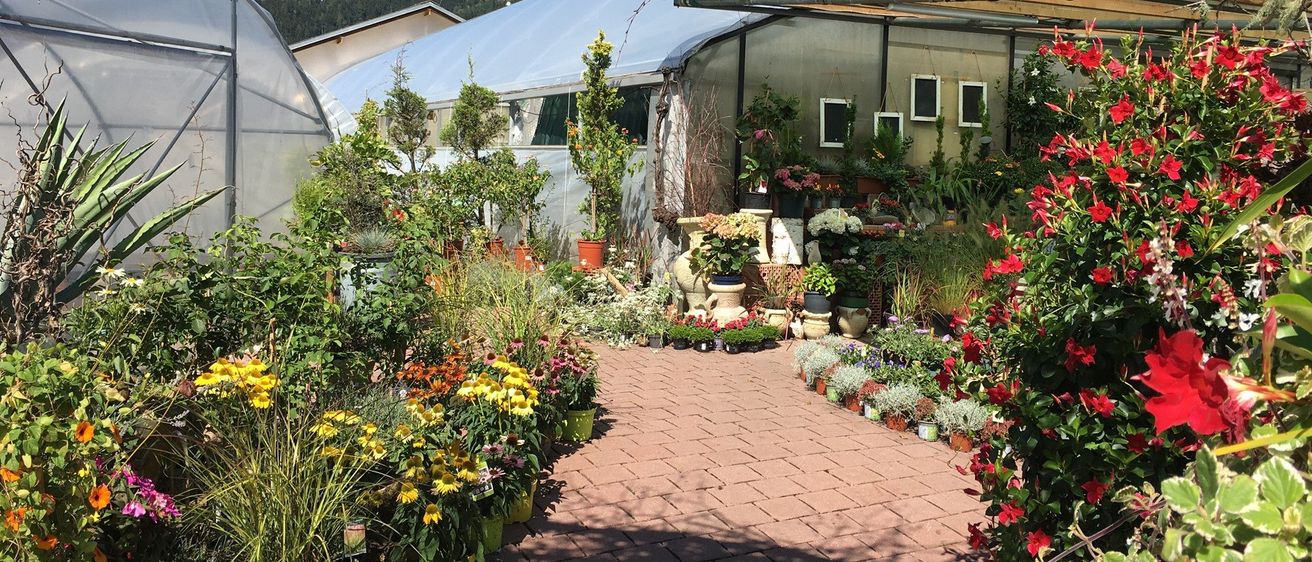 Bild enthält, Garden, Nature, Outdoors, Path, Walkway, Potted Plant, Backyard, Shelter, Arbour, Flagstone