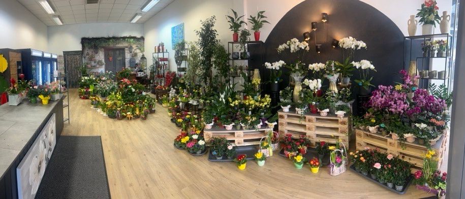 Ein Blumenladen-Interieur mit Holzböden, verschiedenen Blumenarrangements, Topfpflanzen und einer dekorativen Wand. Helle Beleuchtung und ein schwarzer Teppich tragen zur Atmosphäre bei.