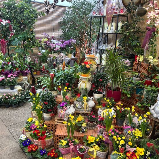 Bild enthält, Flower, Flower Arrangement, Plant, Garden, Nature, Outdoors, Flower Bouquet, Potted Plant, Backyard, People