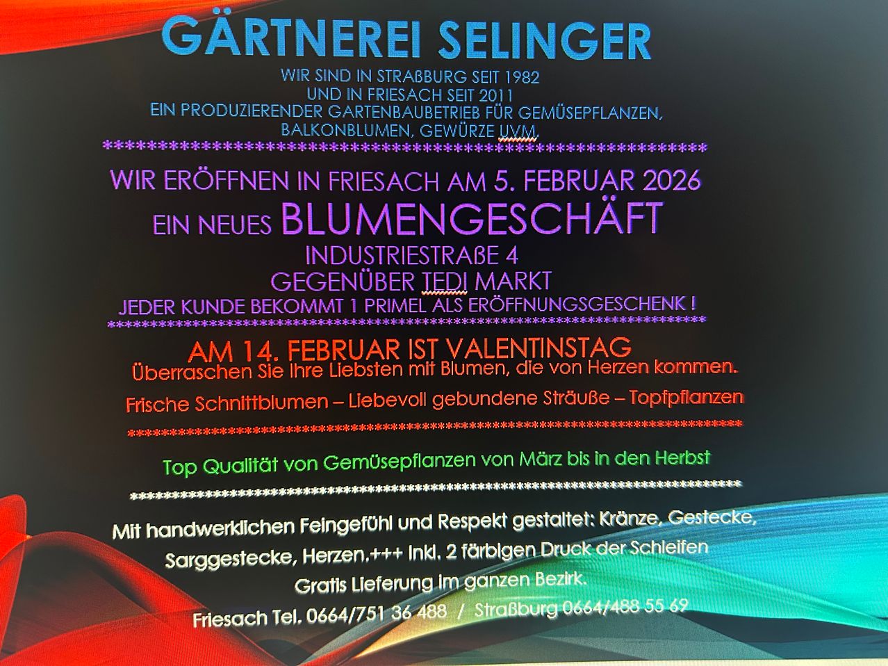 Gärtnerei Selinger, seit 1982 in Straßburg und seit 2011 in Friesach, spezialisiert auf Gemüsepflanzen, Balkonblumen und Gewürze. Ein neues Blumengeschäft eröffnet am 5. Februar 2026 in Friesach. Jeder Kunde erhält ein kostenloses Geschenk. Überraschen Sie Ihre Lieben am 14. Februar mit Blumen. Hochwertige Gemüsepflanzen von März bis Herbst erhältlich.