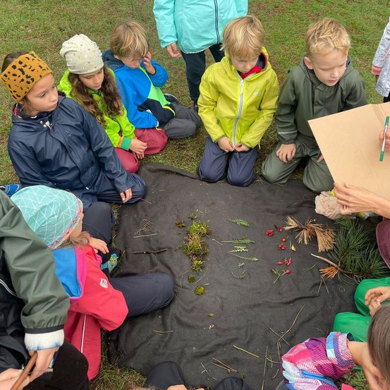 Bild enthält, Boy, Child, Male, Person, Female, Girl, Jacket, People, Face, Student