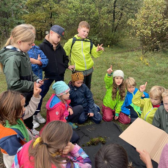 Bild enthält, Vegetation, Grass, Park, Soil, Person, Portrait, People, Tree, Woodland, Coat