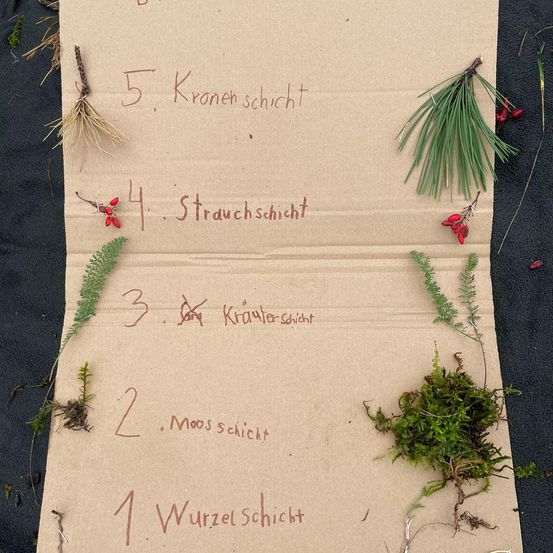 Bild enthält, Text, Business Card, Paper