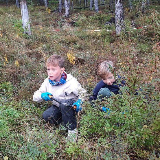 Bild enthält, Vegetation, Wilderness, Grove, Land, Tree, Woodland, Portrait, Grass, Soil, Herbal