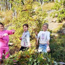 Drei Mädchen stehen in einem Wald, lächeln und halten Stöcke. Das Mädchen auf der linken Seite trägt einen rosa Schlafanzug, während die anderen weiße und graue Jacken tragen.