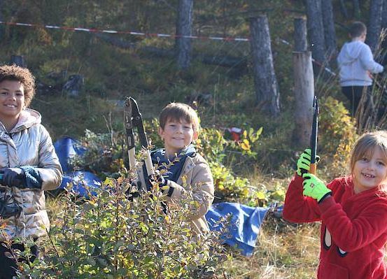 Drei Kinder in einem Wald, eines mit einer Schere, ein anderes mit einem Rechen und das dritte mit einem Werkzeug. Sie lächeln und scheinen an einer Aufräumaktion teilzunehmen.