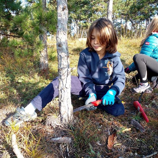 Ein junges Mädchen in einer blauen Kapuzenjacke sitzt auf dem Boden, hält eine Säge und schneidet einen Baumstamm. Eine andere Mädchen in einer blauen Jacke sitzt in der Nähe.