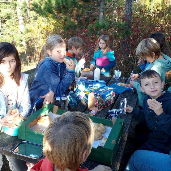 Eine Gruppe von Kindern sitzt an einem Picknicktisch im Wald und isst Sandwiches und trinkt aus Plastikflaschen.