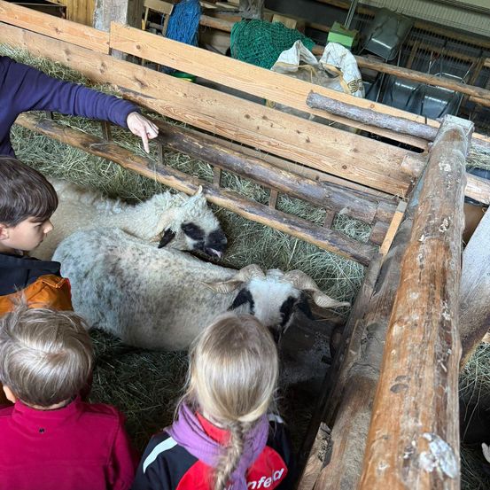 Vier Kinder betrachten zwei Schafe in einem Holzstall mit Heu, während ein Mann auf sie zeigt.